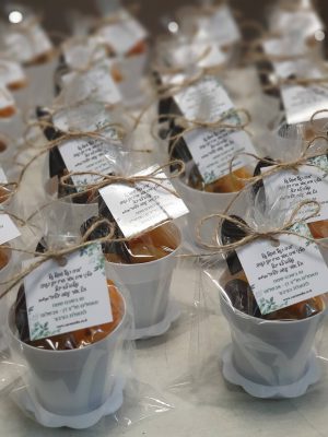 freecompress-20210124_124241